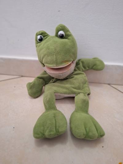 תמונה של לטא הבן 2 במארס 2024