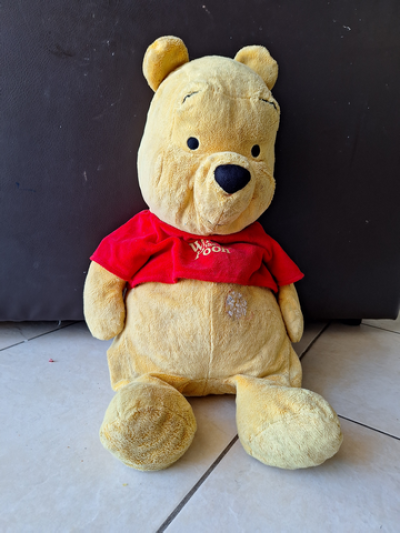 תמונה של דוגי איסקי - בית משפחת מאורר, 10.3.2024