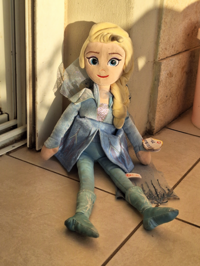 תמונה של אלזה - במרפסת של בית משפחת מאורר, יום שבת - 9 במארס 2024