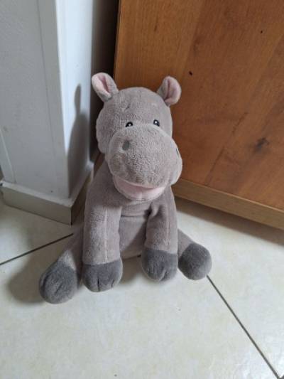 תמונה של אידי, בית משפחת מאורר 20.3.2024