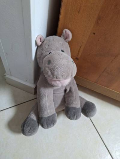 עוד תמונה של אידי, בית משפחת מאורר 20.3.2024