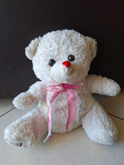 תמונה של קיקי, בית משפחת מאורר, 10 במארס, 2024