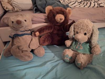 תתמונה של רונן הבן עם  דוני ועם קודקוד בבית משפחת מאורר, 18.3.2024