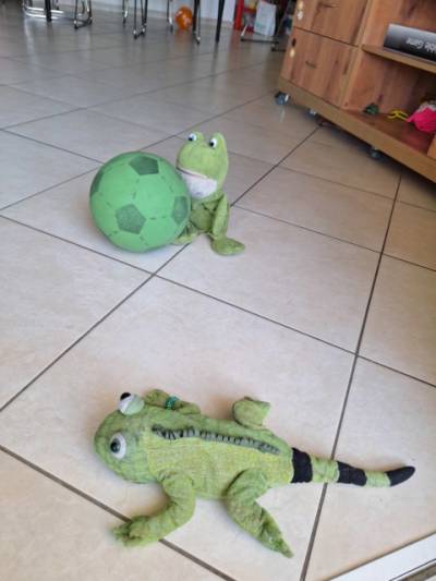 לטא עם מסי במשחק כדורגל - בית משפחת מאורר. 23.3.2024