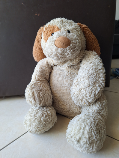 תמונה של נוחה בבית משפחת מאורר, 9 במארס 2024