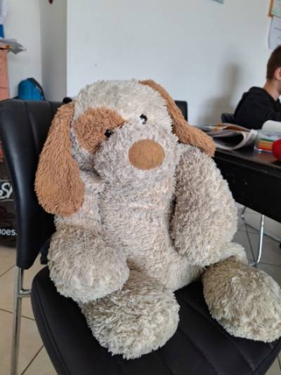 תמונה של נוחה - יושבת בקפה רןזמרין, בבית משפחת מאורר, 22.3.2024. 