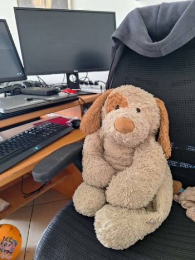 נוחה בכסא המנהל, קפה רוזמרין, בית משפחת מאורר, 29.3.2024