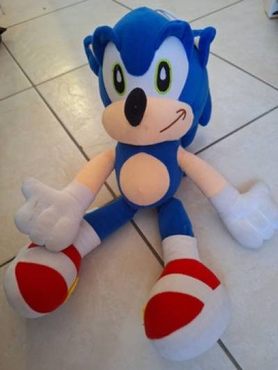 סוניק בבית משפחת מאורר, 21.3.2024