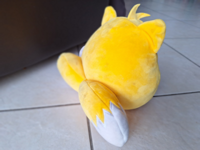 תמונה של סקווישמלו מהגב, בית משפחת מאורר, 16.3.2024