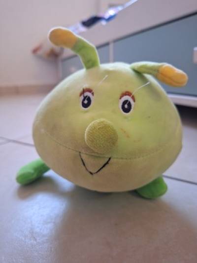 תמונה של זחל בבית משפחת מאורר, 21 במארס 2024