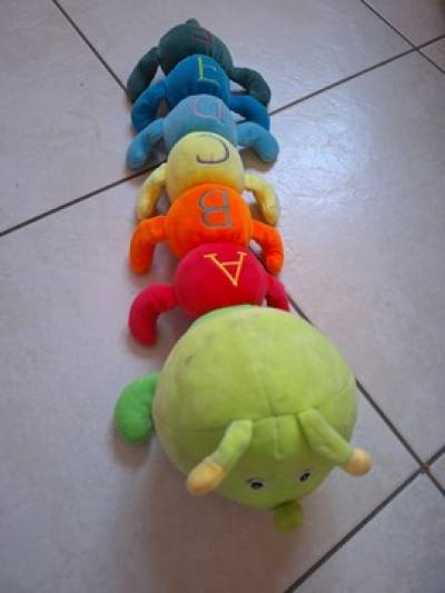 תמונה נוספת של זחל בבית משפחת מאורר, 21 במארס 2024