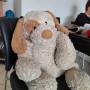 noha_kise_20240322_132855.jpg